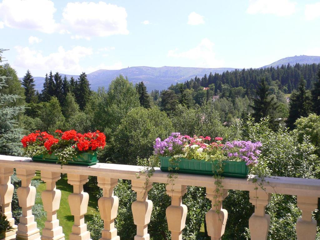 Hotel Villa Romantica شكلارسكا بوريبا المظهر الخارجي الصورة
