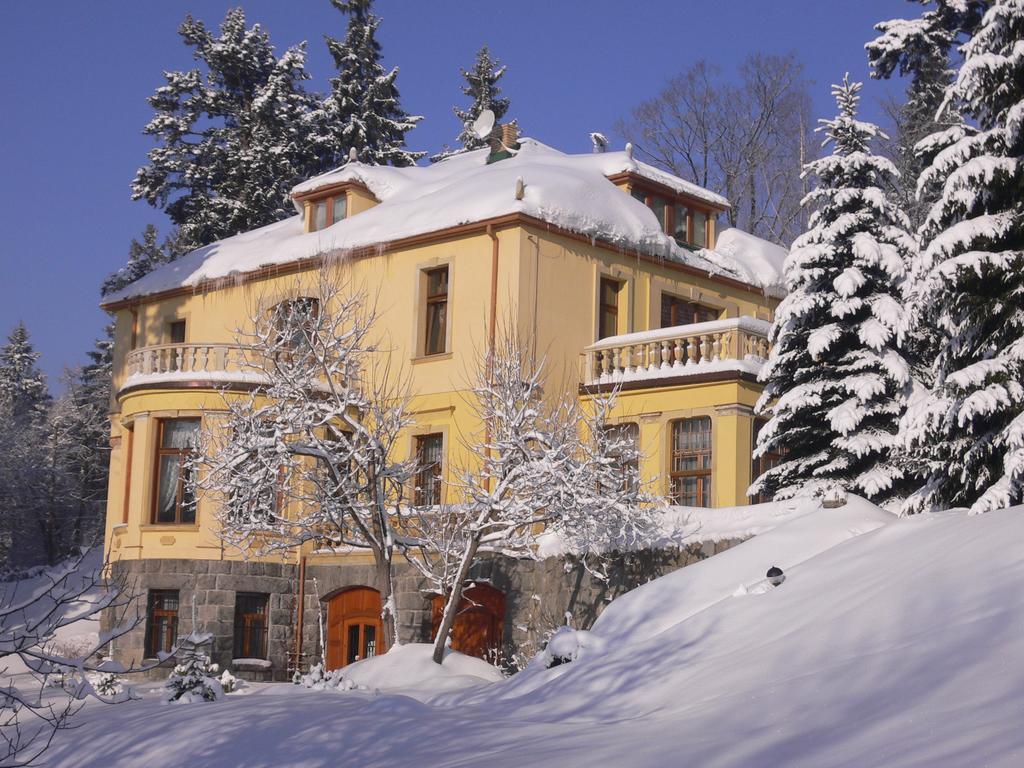Hotel Villa Romantica شكلارسكا بوريبا المظهر الخارجي الصورة